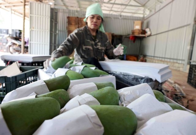 Virtual booths open new doors for Vietnamese farm produce in China